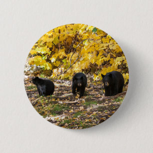 Drie Beren Ronde Button 5,7 Cm
