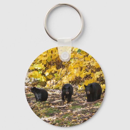 Drie Beren Sleutelhanger (Voorkant)