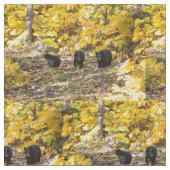 Drie Beren Stof (Close Up)