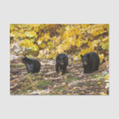 Drie Beren Tissuepapier (Voorkant)