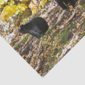 Drie Beren Tissuepapier (Detail)