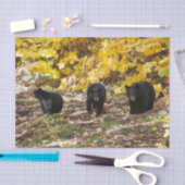 Drie Beren Tissuepapier (Craft)