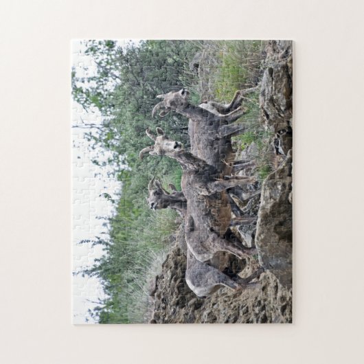 Drie berggeiten op Rocks Design Jigzaag Puzzle Legpuzzel (Verticaal)