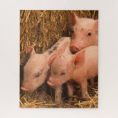 drie biggen legpuzzel (Verticaal)