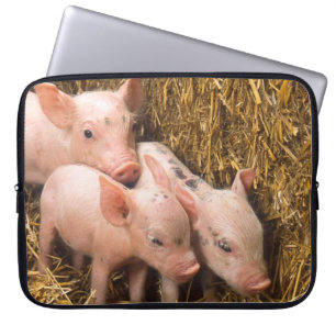 Drie Biggetjes Laptop Sleeve