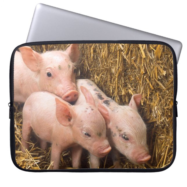 Drie Biggetjes Laptop Sleeve (Voorkant)