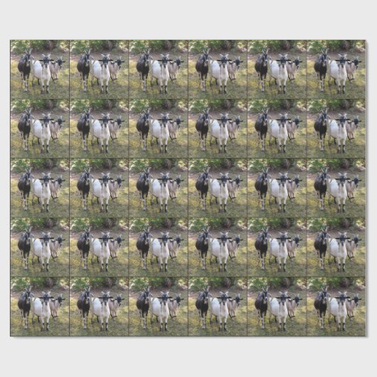 Drie Billy Goats Cadeaupapier (Vlak)