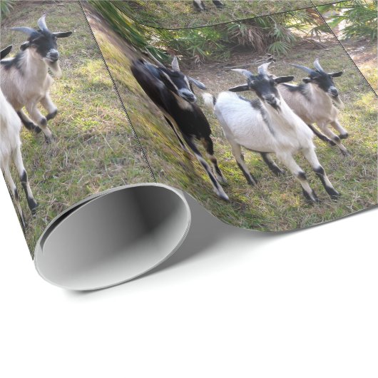 Drie Billy Goats Cadeaupapier (Rol Hoek)