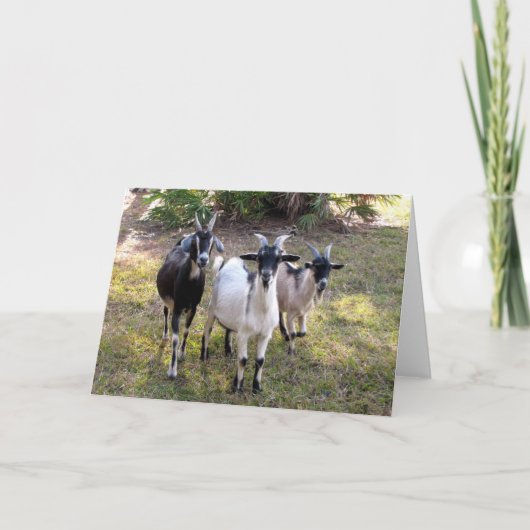 Drie Billy Goats Kaart (Voorkant)
