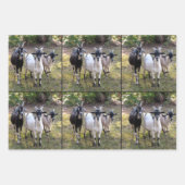 Drie Billy Goats Wrapping Sheets Inpakpapier Vel (Voorkant 2)