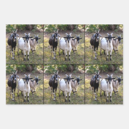 Drie Billy Goats Wrapping Sheets Inpakpapier Vel (Voorkant 2)