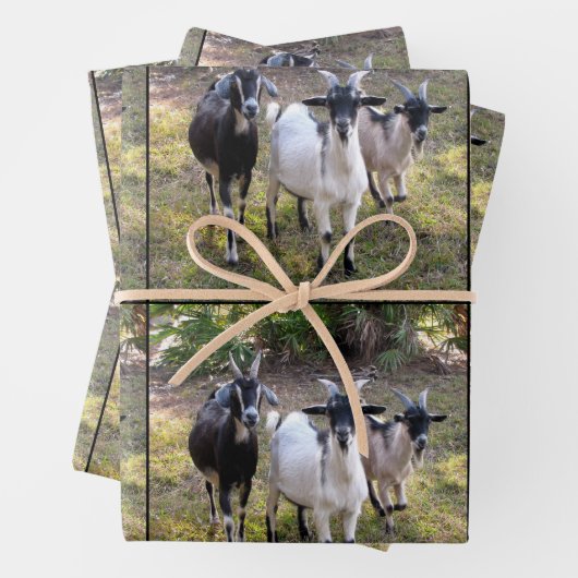 Drie Billy Goats Wrapping Sheets Inpakpapier Vel (In situ)