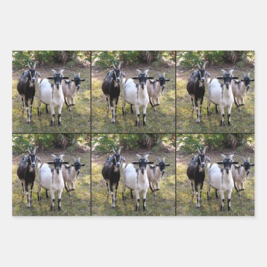 Drie Billy Goats Wrapping Sheets Inpakpapier Vel (Voorkant 3)