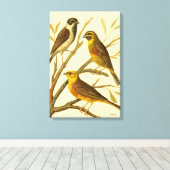 Drie binnenlandse vogels op een filiaal canvas afdruk (Insitu (Houten vloer))