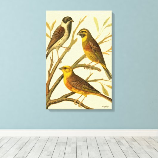 Drie binnenlandse vogels op een filiaal canvas afdruk (Insitu (Houten vloer))
