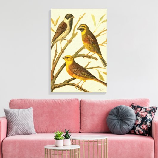 Drie binnenlandse vogels op een filiaal canvas afdruk (Insitu (Woonkamer))
