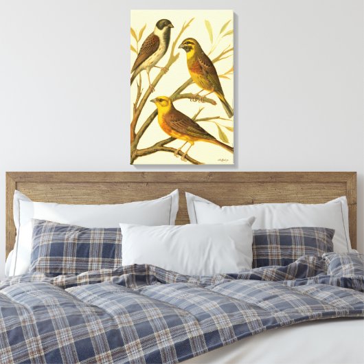 Drie binnenlandse vogels op een filiaal canvas afdruk (Insitu (Slaapkamer))
