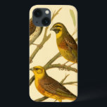 Drie binnenlandse vogels op een filiaal Case-Mate iPhone case<br><div class="desc">Artiest W. Rutledge nam perfect de levendige kleuren van die huisvogels op. Dit simpele maar prachtig realistische schilderij. Zijdelingse uitzicht van twee gele vogels en één donkerder vogel op een tak en in verschillende richtingen.</div>