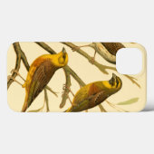 Drie binnenlandse vogels op een filiaal Case-Mate iPhone case (Achterkant (horizontaal))