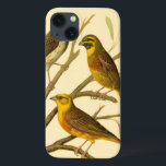 Drie binnenlandse vogels op een filiaal Case-Mate iPhone case<br><div class="desc">Artiest W. Rutledge nam perfect de levendige kleuren van die huisvogels op. Dit simpele maar prachtig realistische schilderij. Zijdelingse uitzicht van twee gele vogels en één donkerder vogel op een tak en in verschillende richtingen.</div>