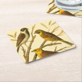 Drie binnenlandse vogels op een filiaal kartonnen onderzetters (Schuin)