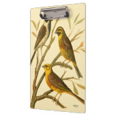 Drie binnenlandse vogels op een filiaal klembord (Links)