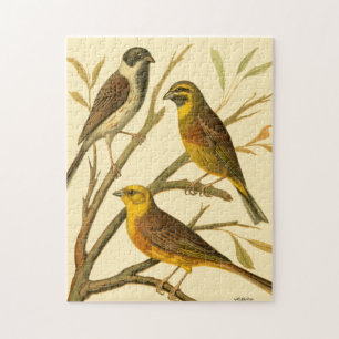 Drie binnenlandse vogels op een filiaal legpuzzel