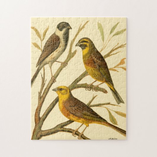 Drie binnenlandse vogels op een filiaal legpuzzel (Verticaal)