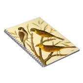 Drie binnenlandse vogels op een filiaal notitieboek (Rechterzijde)