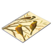 Drie binnenlandse vogels op een filiaal notitieboek (Linkerzijde)