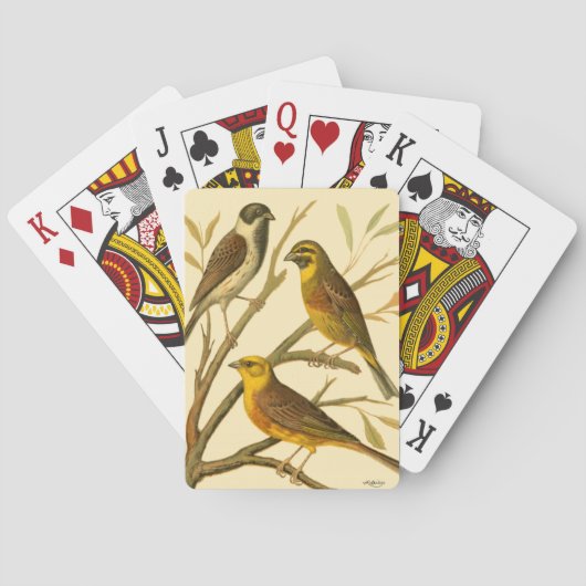 Drie binnenlandse vogels op een filiaal pokerkaarten (Achterkant)