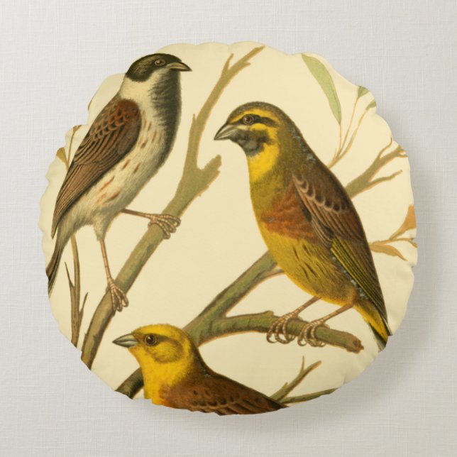 Drie binnenlandse vogels op een filiaal rond kussen (Voorkant)