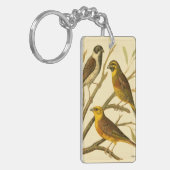 Drie binnenlandse vogels op een filiaal sleutelhanger (Voorkant Links)