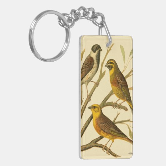 Drie binnenlandse vogels op een filiaal sleutelhanger (Voorkant Links)