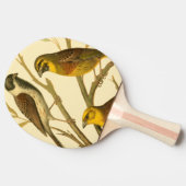 Drie binnenlandse vogels op een filiaal tafeltennisbatje (Zijkant)