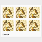 Drie binnenlandse vogels op een filiaal vierkante sticker (Vel)