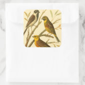 Drie binnenlandse vogels op een filiaal vierkante sticker (Tas)