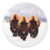 Drie Bison Keramische Knop (Voorkant)