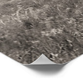 Drie Blackfoot Chiefs Poster (Hoek)