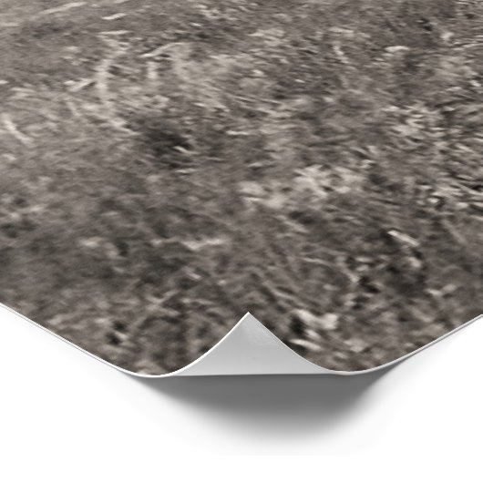 Drie Blackfoot Chiefs Poster (Hoek)