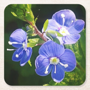 Drie blauwe bloemen kartonnen onderzetters