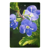 Drie blauwe bloemen mini klembord (Achterkant)