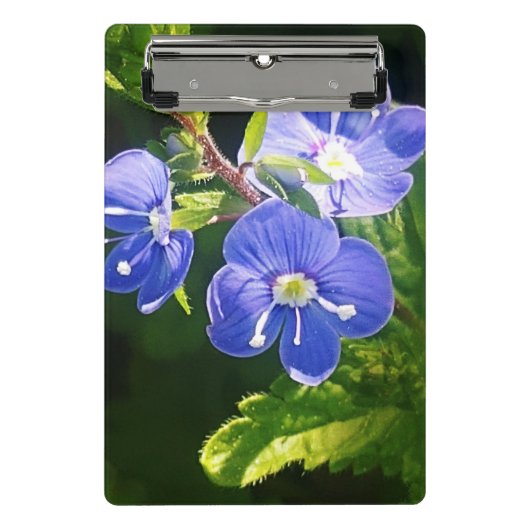 Drie blauwe bloemen mini klembord (Voorkant)