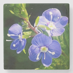 Drie blauwe bloemen stenen onderzetter