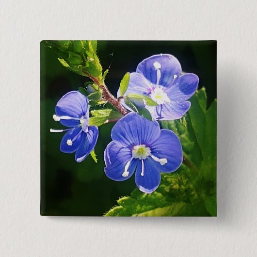 Drie blauwe bloemen vierkante button 5,1 cm (Voorkant)
