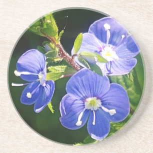 Drie blauwe bloemen zandsteen onderzetter