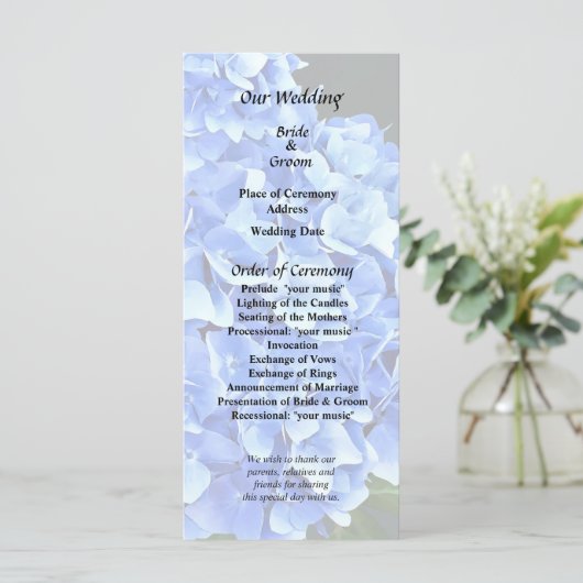 Drie Blauwe Hortensia Programmakaart (Staand voorkant)