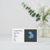 Drie Blauwe Hortensia Visitekaartje (Staand voorkant)