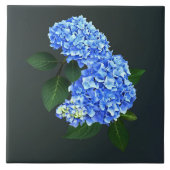 Drie blauwe hortensia's tegeltje (Voorkant)