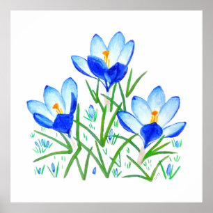 Drie Blauwe Krokus Bloemen Print